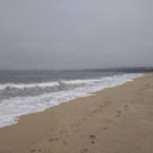 Meet your Posher, Cary